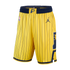 Jerseys Teams Indiana Pacers Jordan Statement Swingman Shorts - Gold