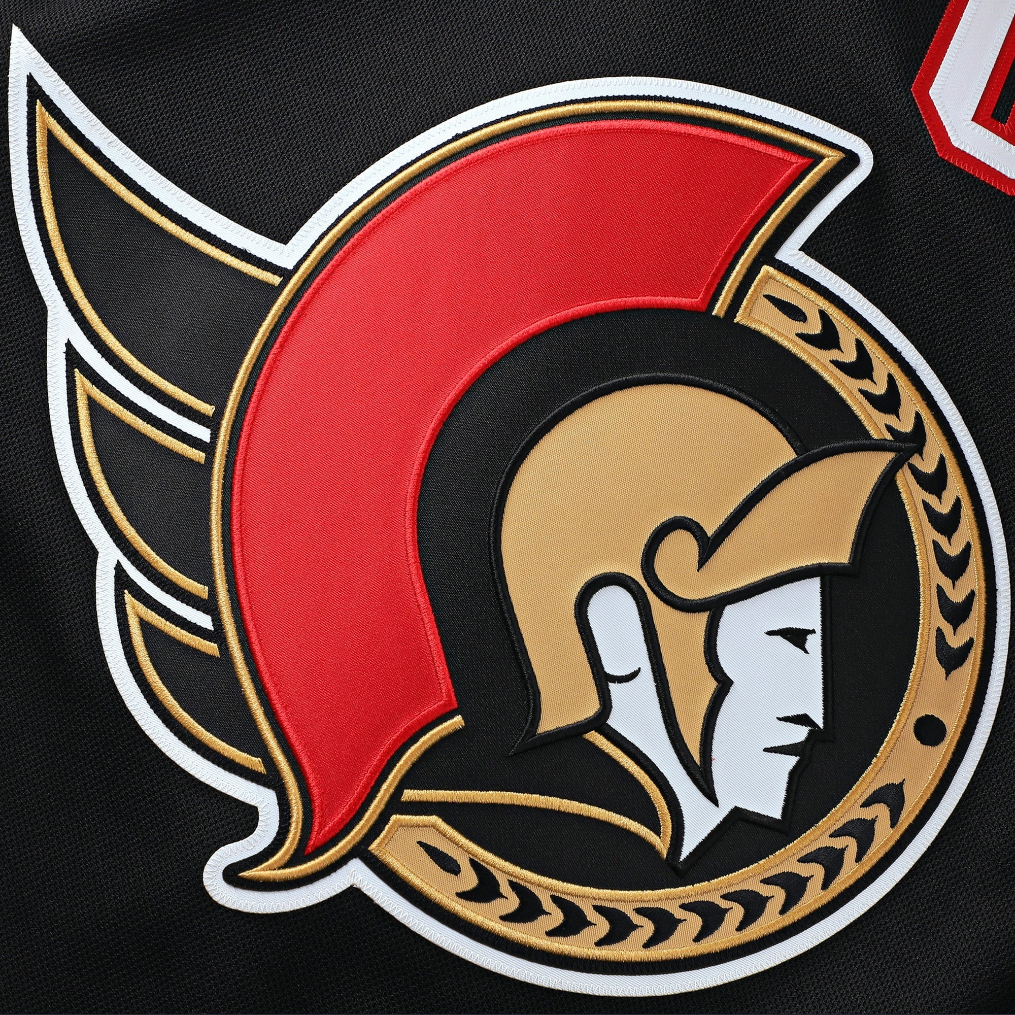 Jerseys Teams Fanatics Ottawa Senators Home Premium Custom Jersey