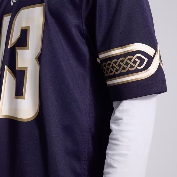 Andrew Van Ginkel Minnesota Vikings Jerseys Teams 2026 Rivalries Collection Game Jersey - Purple