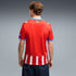 Girona FC Jerseys Teams 2026/27 Home Replica Jersey - Red