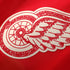Jerseys Teams Detroit Red Wings Fanatics Centennial Jersey