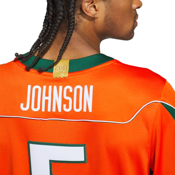 Andre Johnson Miami Hurricanes Jerseys Teams Home It's Back Premier Jersey - Orange