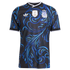 Jerseys Teams Argentina National Team 2026 Away Authentic Jersey Black